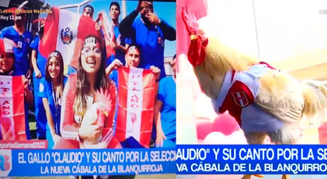 Gallo 'Claudio' pronosticó triunfo de la blanquirroja en repechaje contra Australia