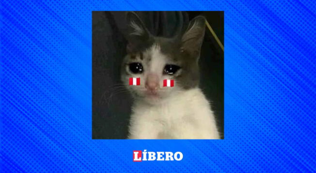 Usuarios comparten memes emotivos luego de que Perú perdió ante Australia