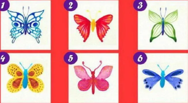 Elige una mariposa y conoce más sobre tu personalida