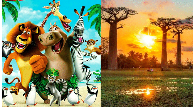 ¿Qué animales habitan este paraíso llamado Madagascar?