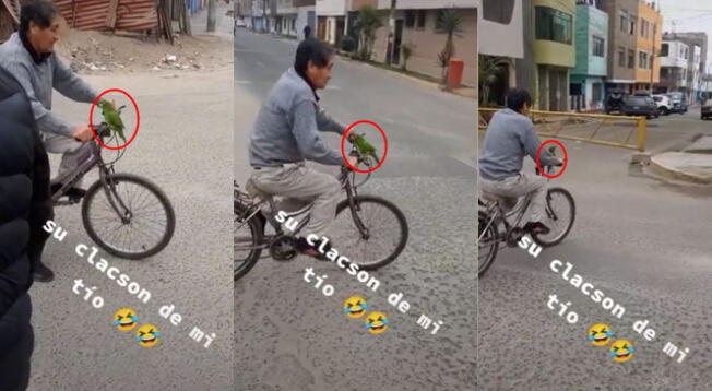 Hombre en bicicleta causa sensación en transeuntes con su 'loro claxon' - VIDEO