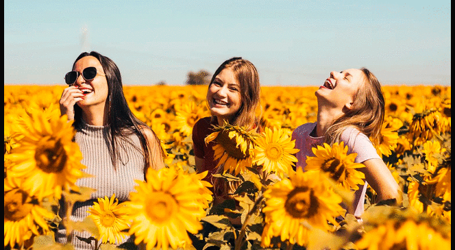 ¿Cuál es el origen del Yellow Day? El día más feliz del año