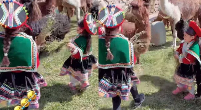 Gianluca Lapadula: hijas del 'Bambino' fueron sorprendidas por alpacas y él tuvo tierna reacción