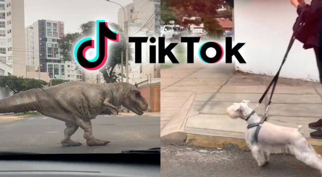 TikTok: realista disfraz de dinosaurio causó revuelo en la calle