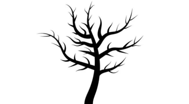 ¿Qué consideras que le falta al árbol? Descubre detalles de tu personalidad a través de tu respuesta