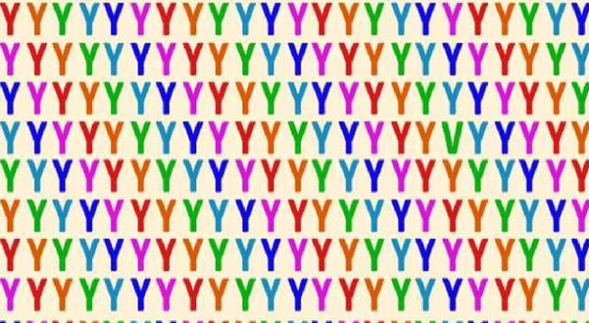 Encuentra en tiempo récord las letras que no conforme el grupo de las 'Y'