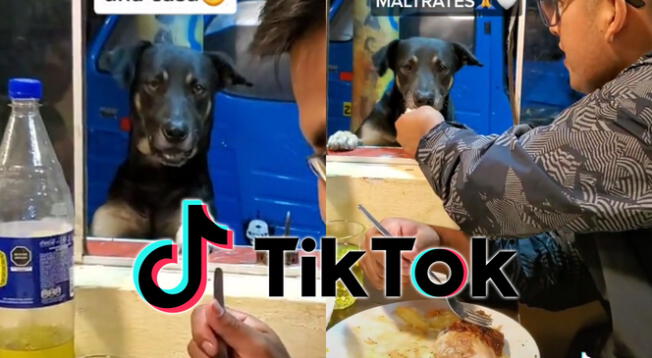 Joven se apiada de perro callejero regalándole pollo a la brasa y protagonizan tierna escena