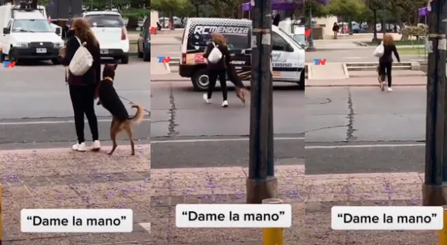 TikTok viral: mujer ve que perro intenta cruzar la pista y lo agarra de la 'patita' para asegurarse que llegue sano y salvo