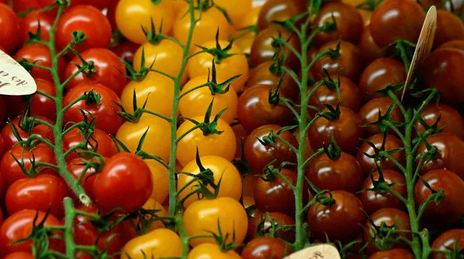 Un químico que acompañaba al tomate en los platos terminó por perjudicar al vegetal en las antiguas creencias.