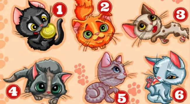 ¿Qué gatito te representa? Solo uno podrá revelarte más de tu personalidad