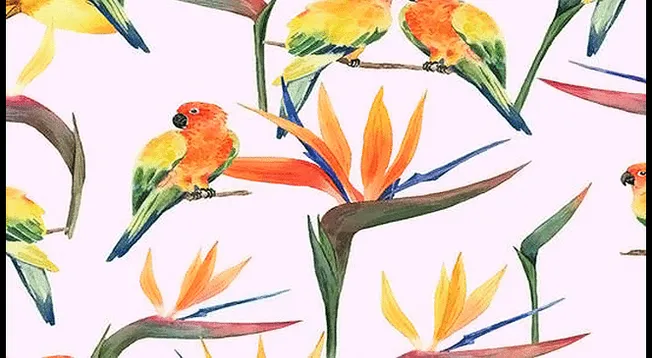 Acertijo visual nivel 'Premium': Encuentra al pájaro amarillo en solo 5 segundos Acertijo visual nivel 'Premium': Encuentra al pájaro amarillo en solo 5 segundos