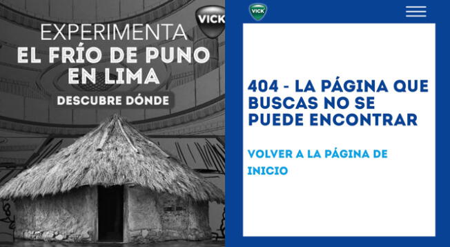 'Reconocemos la controversia causada', Vick retira polémica campaña tras ola de críticas