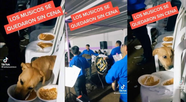 Tiktok: Perrito 'atrasa' a integrantes de banda musical con su deliciosa cena