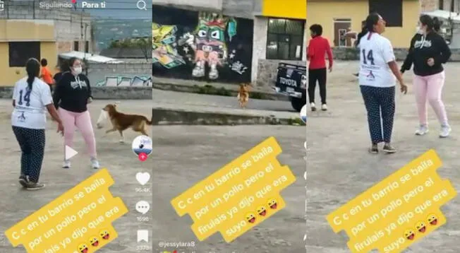 TikTok: Perrito se viraliza tras robar y huir con premio de competencia