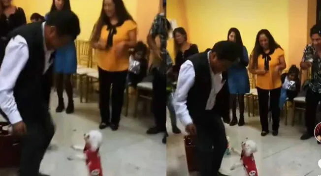 Tierna perrita remece TikTok con peculiares 'pasos de baile'