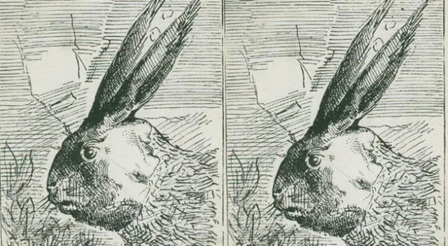 ¿Dónde está el dueño del conejo? Solo los GENIOS logran resolver el reto en 4 segundos ¿Dónde está el dueño del conejo? Solo los GENIOS logran resolver el reto en 4 segundos