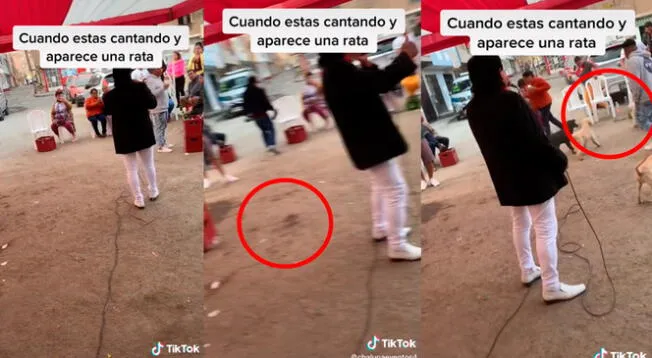 TikTok viral: cantante peruano quiso lucirse en concierto callejero pero una rata aparece y se roba el show