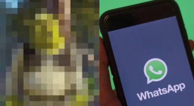 WhatsApp: Conoce la función de la app que te permite pixelear fotos antes de enviarlas