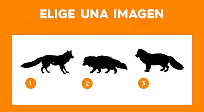 ¿Tienes una gran fuerza de voluntad? Uno de estos caninos revelará la respuesta