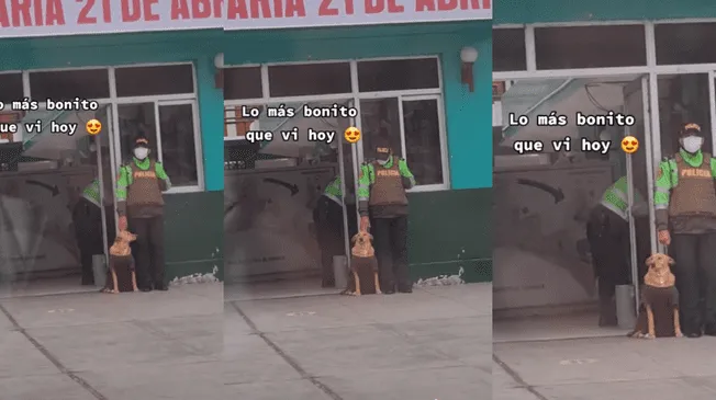 Policía y perrito enternecen con este vídeo Policía y perrito enternecen con este vídeo