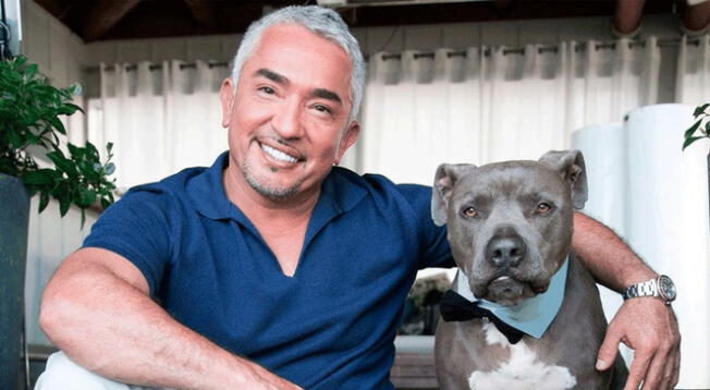 ¿Qué sucedió con César Millán, 'El encantador de perros'?