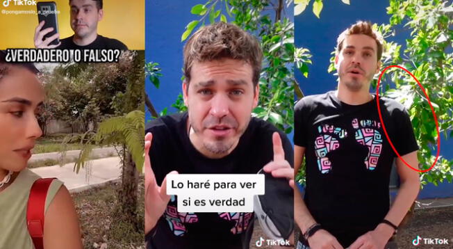 TikTok: ¿Los árboles pueden tocarte el hombro si se los pides? La verdad del video viral