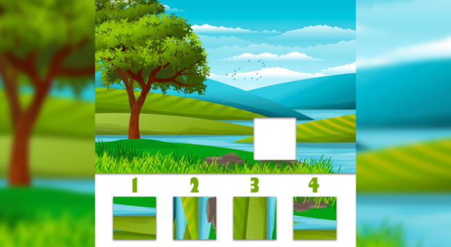 Reto visual: ¿Qué pieza es la correcta? Tienes solo 8 segundos