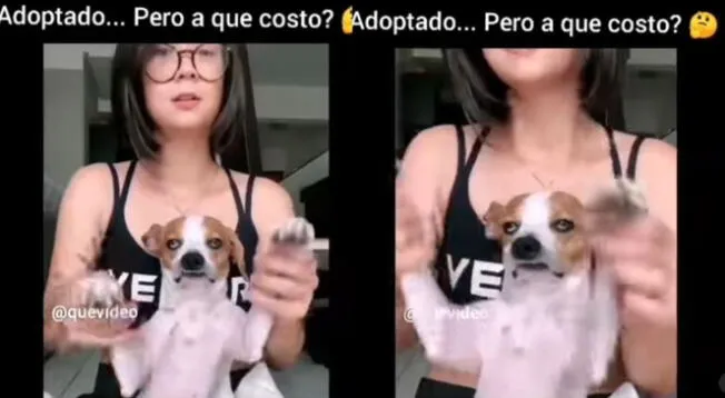 Joven obliga a bailar a su perrito, pero su reacción es viral en redes sociales - VIDEO