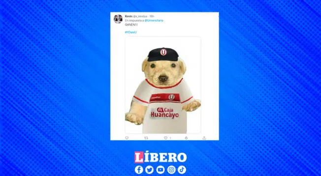 El perrito cariñoso es infaltable y hoy se vistió de El perrito cariñoso es infaltable y hoy se vistió de
