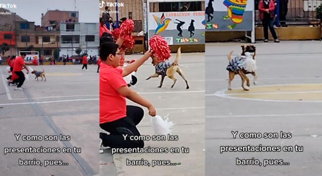 Un perrito fue la verdadera sensación de un presentación por Fiestas Patrias.