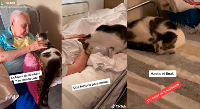 TikTok viral: gatita estuvo al lado de su dueño hasta sus últimos días de vida y ahora duerme en la cama que dejó tras su muerte