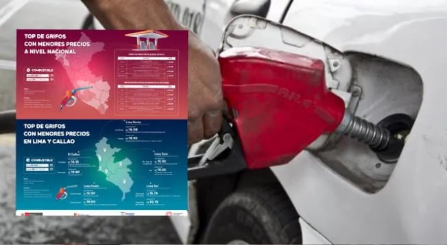 Descubre en esta nota dónde encontrar el combustible más barato