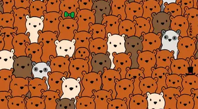 ¿Qué animal no es un oso? Este reto visual fue resuelto por el 5% de las personas