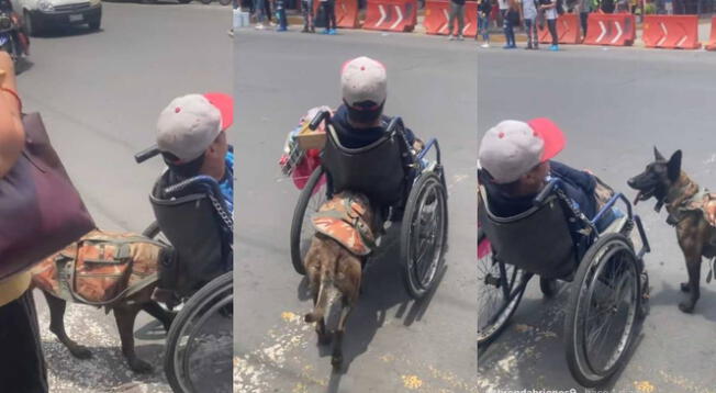 ¡Conmovedor! Perrito ayuda a su dueño con discapacidad a cruzar la pista