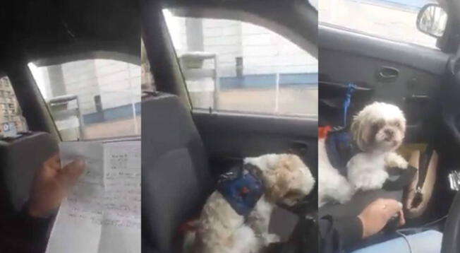 Perrito viejo es abandonado en taxi junto a lista de instrucciones para su cuidado