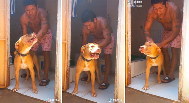 Perrito se calmó al recibir cariño de su dueño