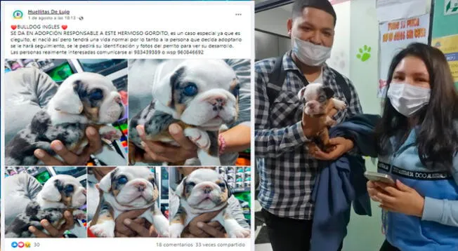 TikTok: cachorrito invidente y sin hogar fue adoptado por una joven, su historia enternece al mundo