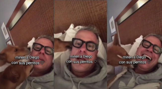 Diego Bertie y el tierno video que compartió con sus mascotas antes de fallecer