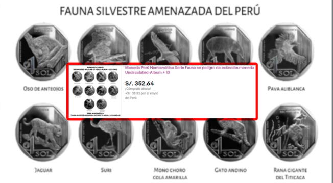 Las monedas con diseño de 'Fauna Silvestre' pueden valer más de 300 soles.