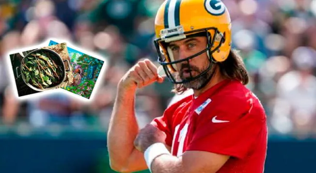 Aaron Rodgers, la figura de la NFL que consumió Ayahuasca