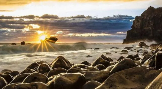 ¿Dónde está el león marino? Solo los más 'INTELIGENTES' superaron este reto visual