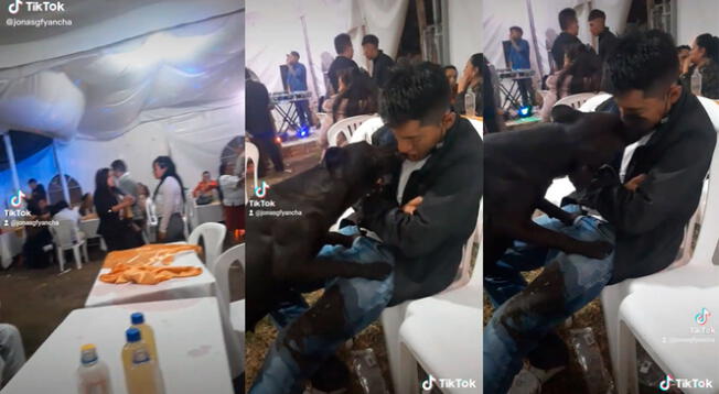 TikTok: joven ebrio se queda dormido en fiesta y su perro intenta 'reanimarlo' a lamidas