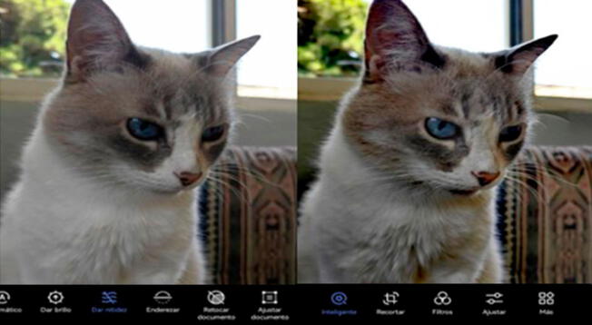 Guía para mejorar tus fotografías desde tu smartphone, sin tener que instalar apps extrañas