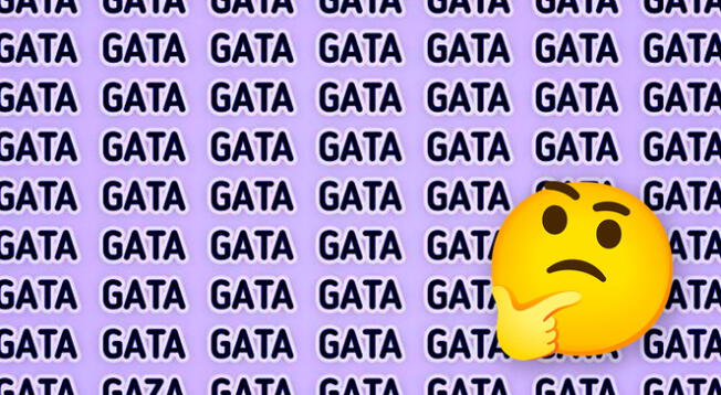 Más del 80% falló en encontrar la palabra 'GATA' ¿Resolverás este reto visual?