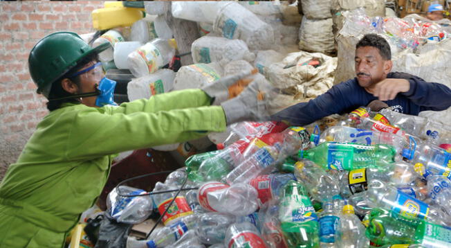 Conoce el monto que podría ganar un reciclador de botellas en Perú