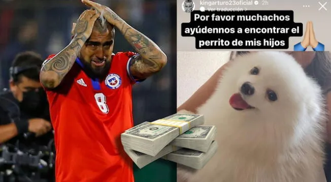 Arturo ofrece gran suma de dinero por su perro perdido: si lo encuentras podrías ir a Qatar 2022
