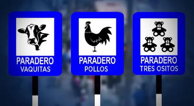 Mira los paraderos con nombre más curiosos: 'Vaquita', 'Tres ositos', 'Puente camote' y más