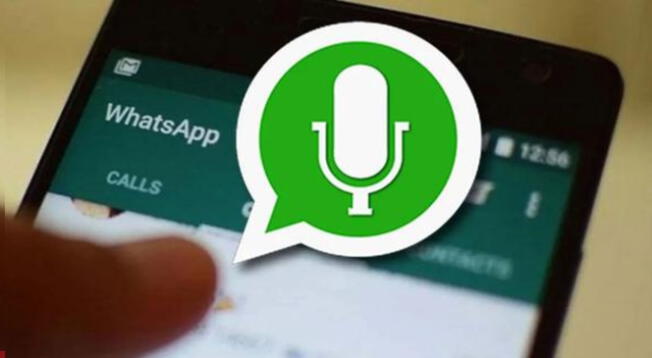 WhatsApp: aprende como ocultar "grabando audio" en la aplicación