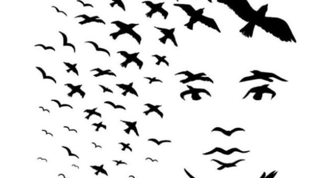 ¿Aves o un rostro? Este test visual revelará detalles de tu personalidad