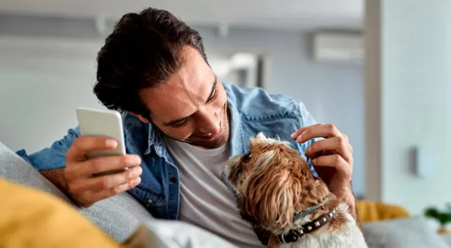 Smartphones: 5 aplicaciones para cuidar a tu mascota desde tu celular